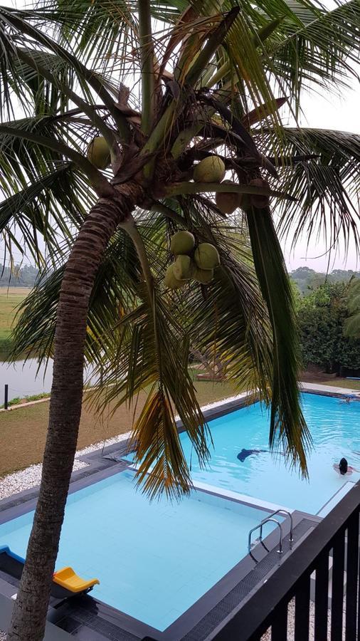 Grand Riverine Bed & Breakfast Kotugoda Exterior foto